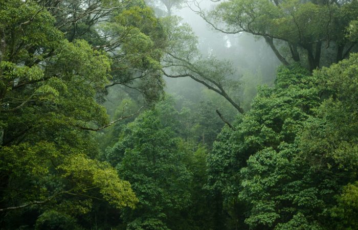 lingchor-lDy1K7RkLeA-unsplash-min