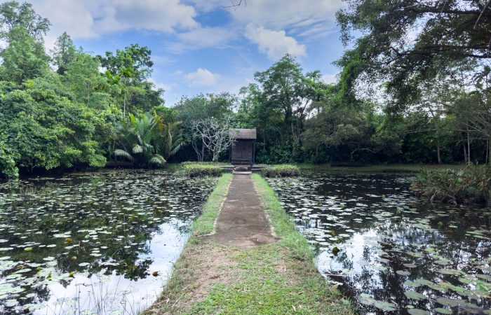 shutterstock_2288554647-min